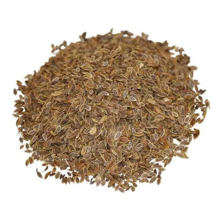 ANETO SEMI