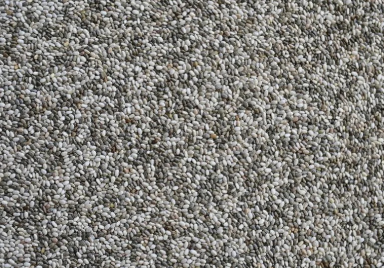 CHIA SEMI