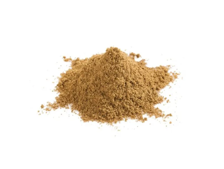CUMINO BIO MACINATO