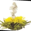 DRAGON FLOWER