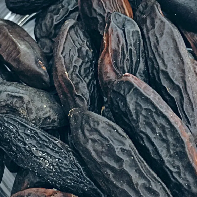 FAVA DI TONKA PROFUMO INTENSO