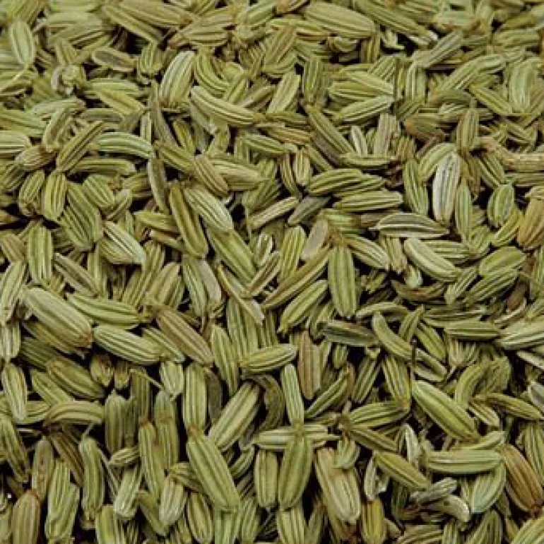 FINOCCHIO SEMI BIO