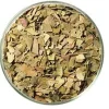 FOGLIE DI LEMON MYRTLE AUSTRALIANO BIOLOGICO