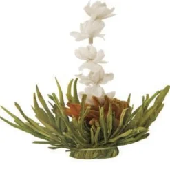LA SETTIMA FATA