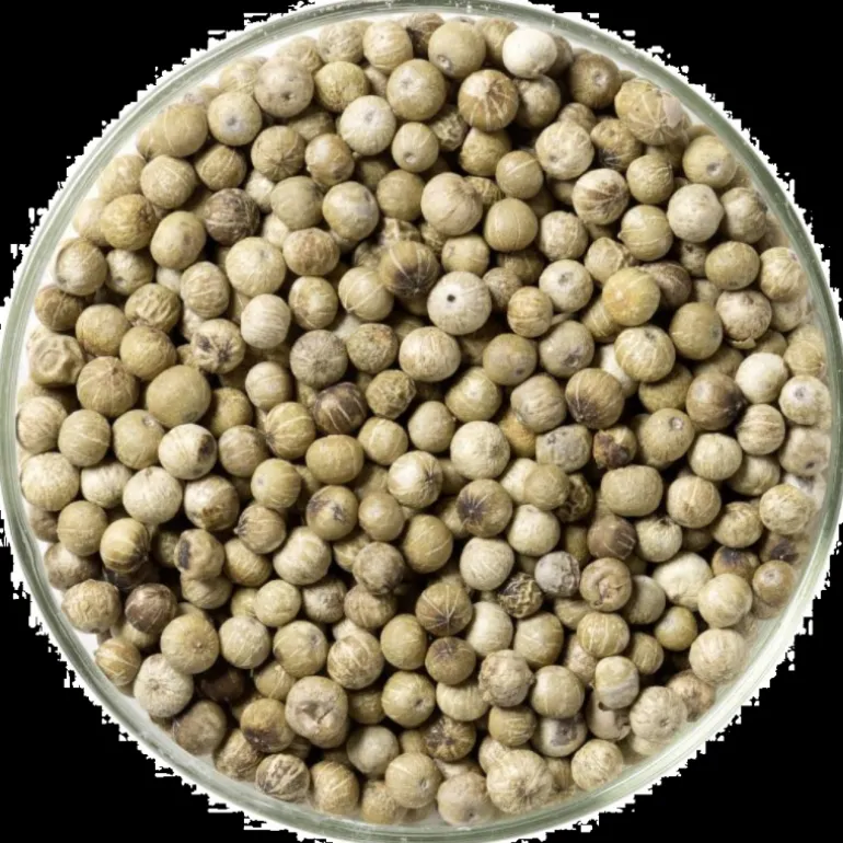 PEPE BIANCO - KAMPOT