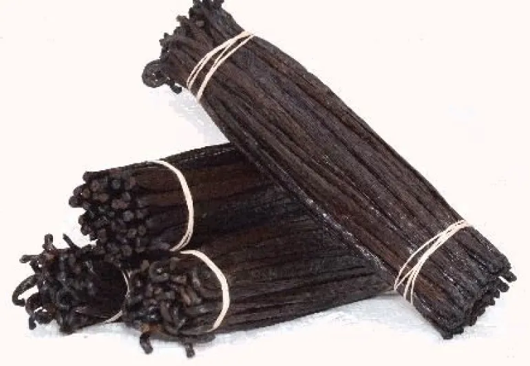 VANIGLIA BOURBON 1 BACCELLO 16-18 cm
